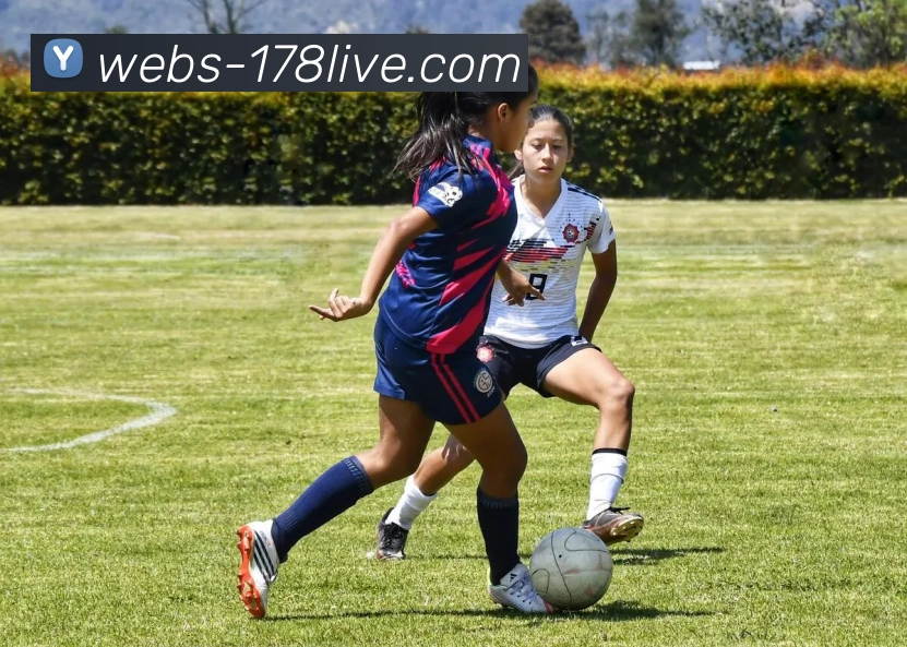 178直播服务体系